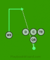 RN - Singleback01 - WR (1) is a 5 on 5 flag football play