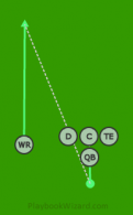 RN - Singleback01 - WR (2) is a 5 on 5 flag football play